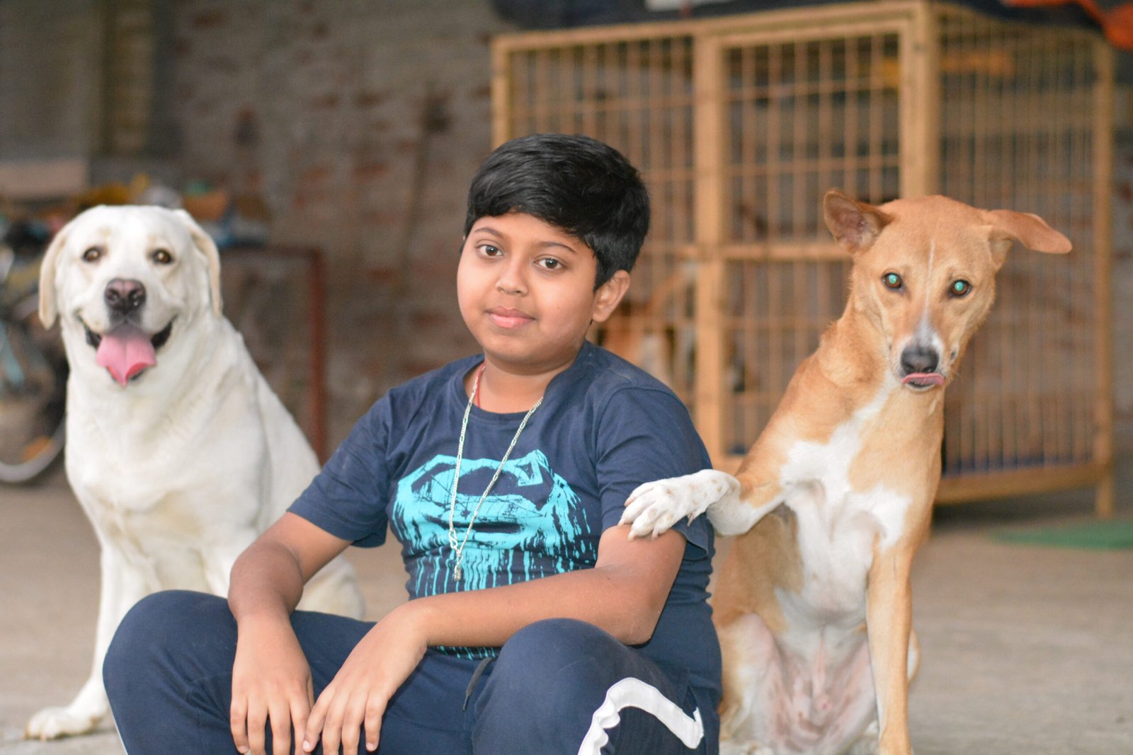Dogs has natural abilities to build connections with human